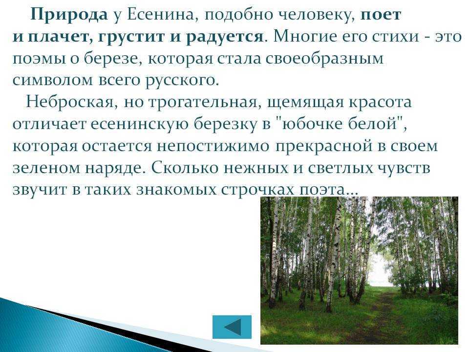 Сочинение на тему: человек и природа в лирике с. а. есенина