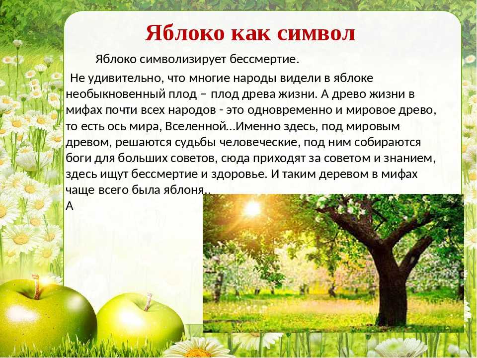 Моё любимое дерево яблоня — домострой