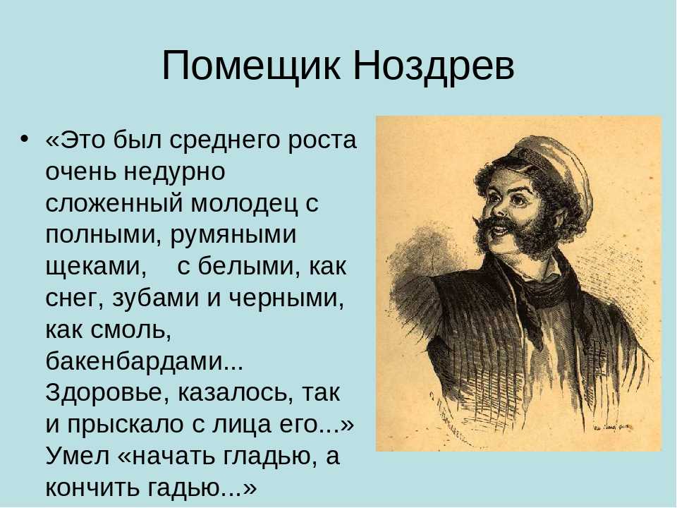 Усадьба ноздрева (описание хозяйства) в поэме мертвые души