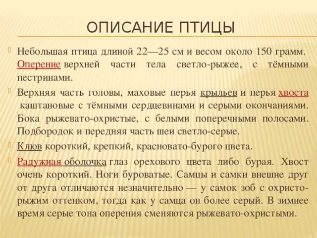 "зачем я убил коростеля?": краткое содержание повести, сочинение