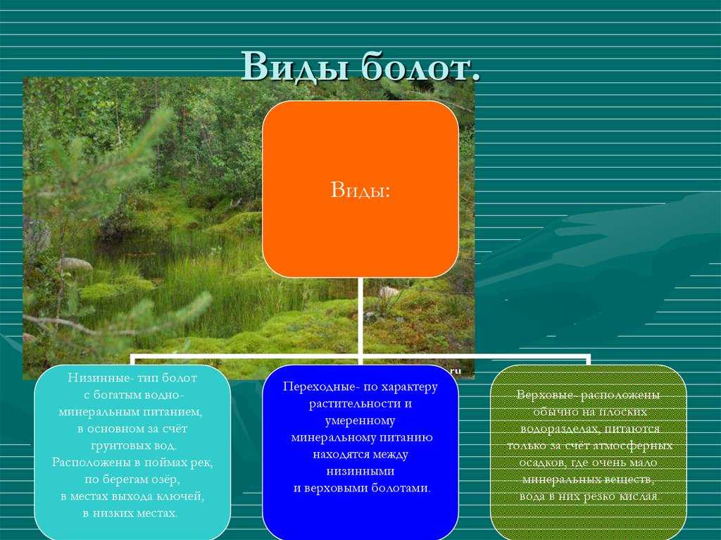 Элементы сказки и были в произведении м.м. пришвина «кладовой солнца»