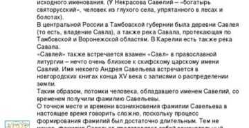 Сочинение про кота 5 класс по русскому языку упр 587