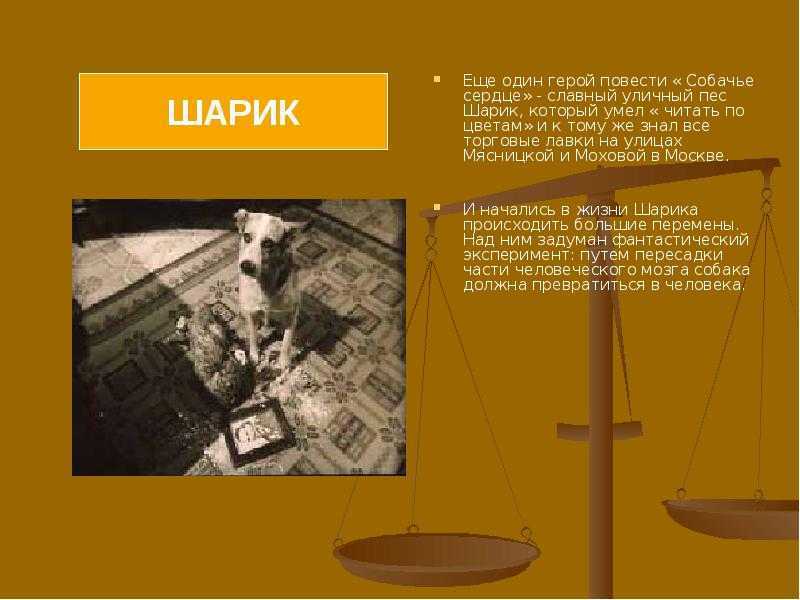 Главные герои романа «обломов» гончарова