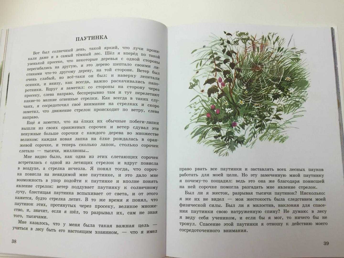 Сочинение «осень – моё любимое время года», 4 класс