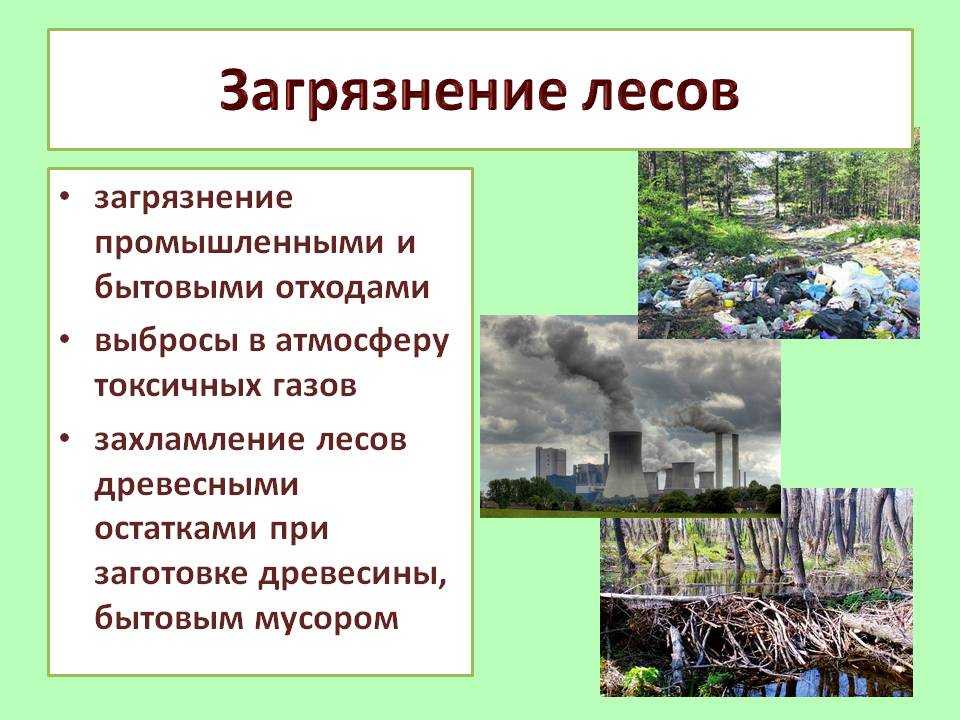 Чехов о любви сочинение о чем заставил задуматься рассказ
