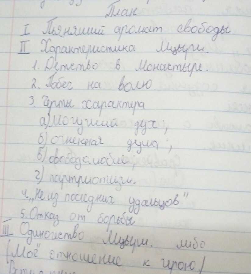 Побег мцыри из монастыря и его цель: причины, почему мцыри решил бежать