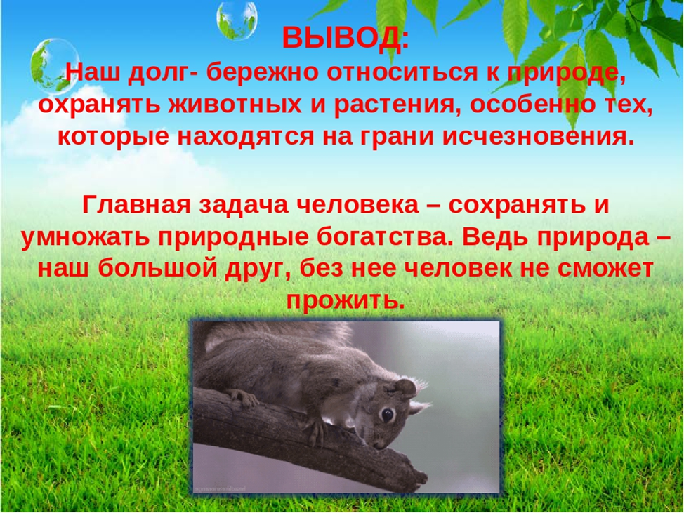 Итоговое сочинение: почему важно сохранять памятники культуры, созданные нашими предками?