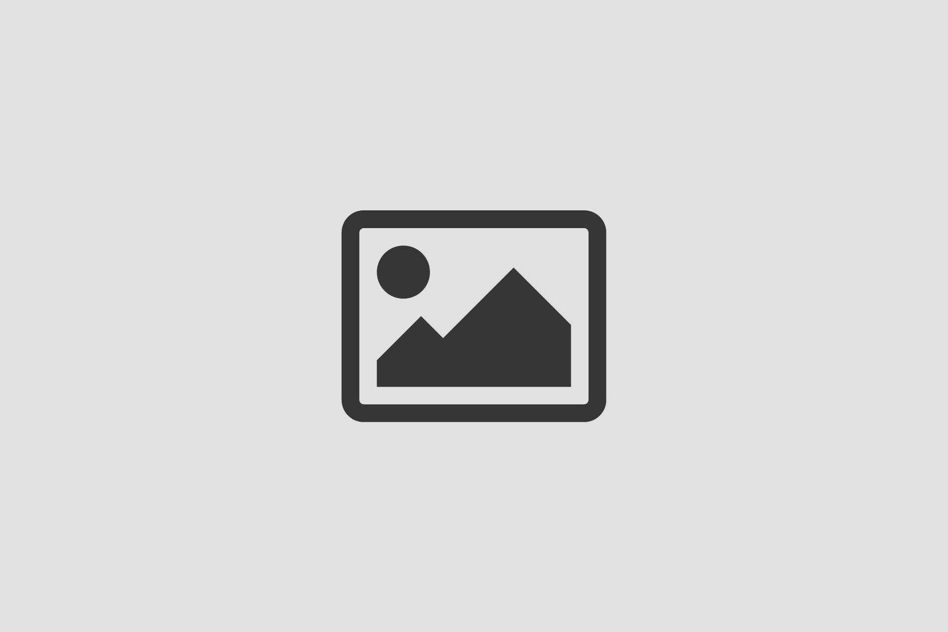 Особенности языка комедии горе от ума грибоедова художественные особенности, стиль произведения