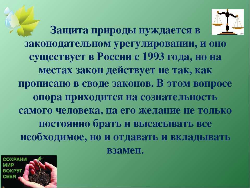 Краткое сочинение по теме защита окружающей среды