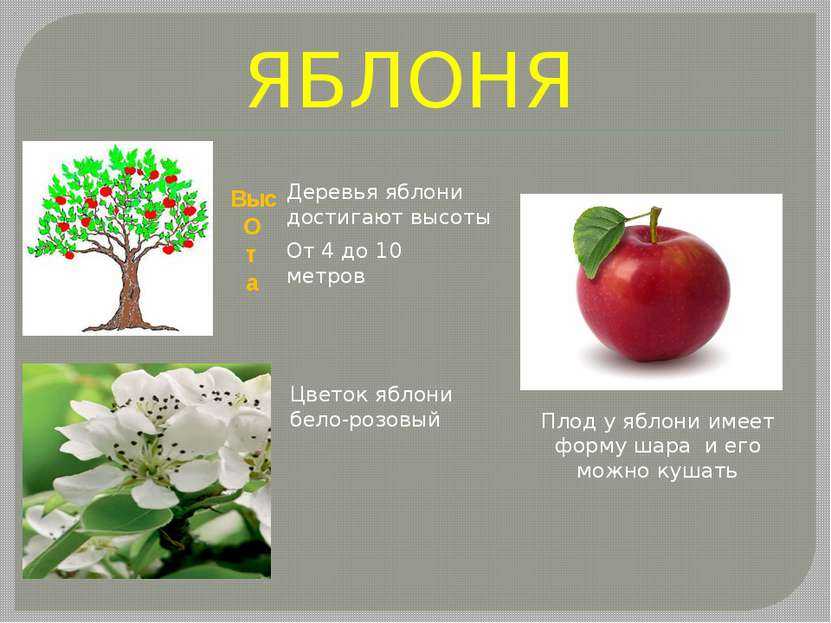 Сочинения на тему весна