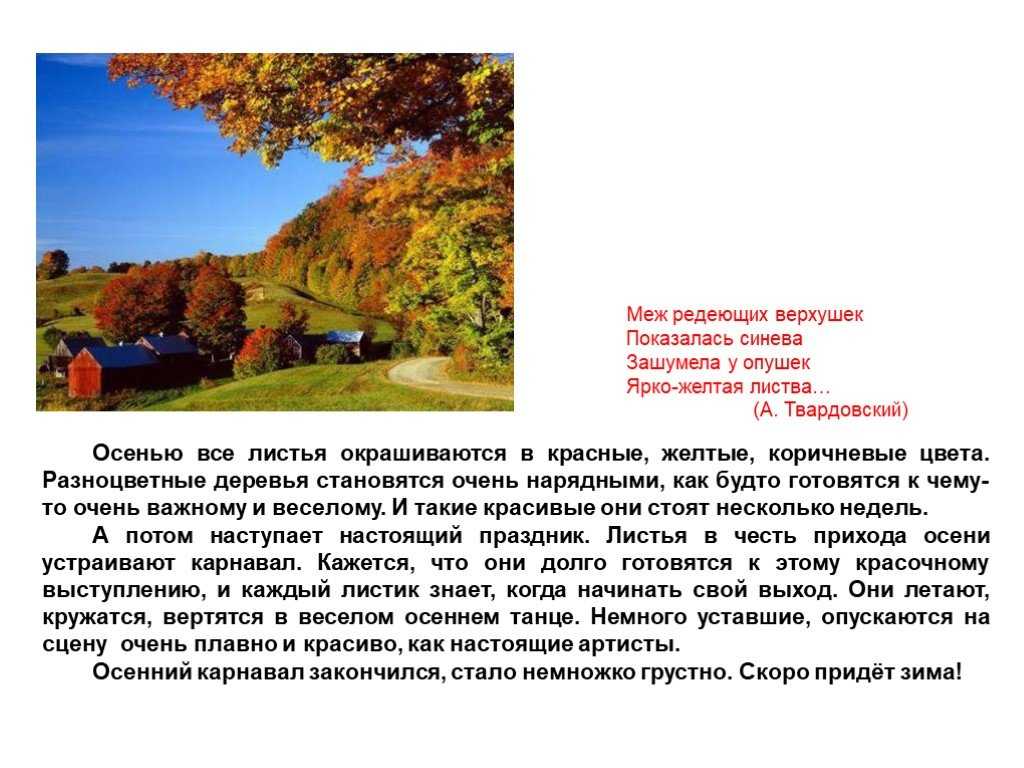 Сочинение в лесу осенью 3 класс, 5 класс