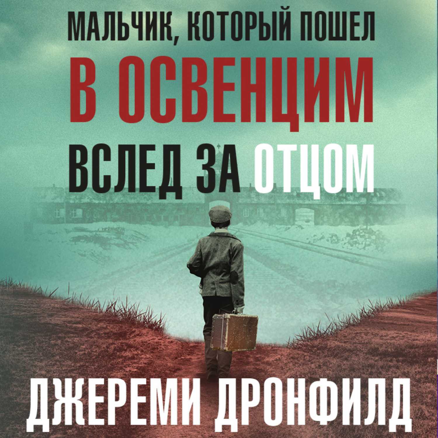 Скачать электронную книгу мальчик, который пошел в освенцим вслед за отцом - джереми дронфилд