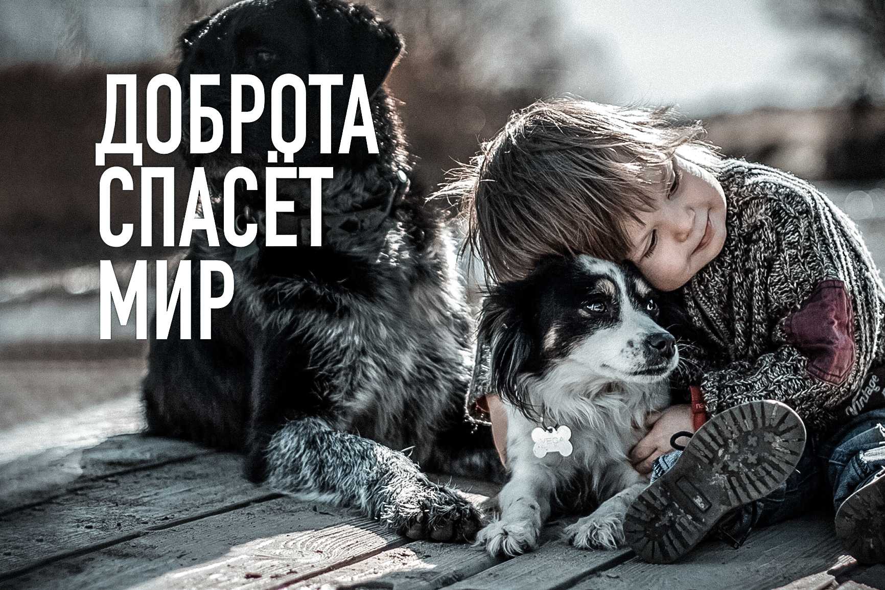 Сделай добро и забудь