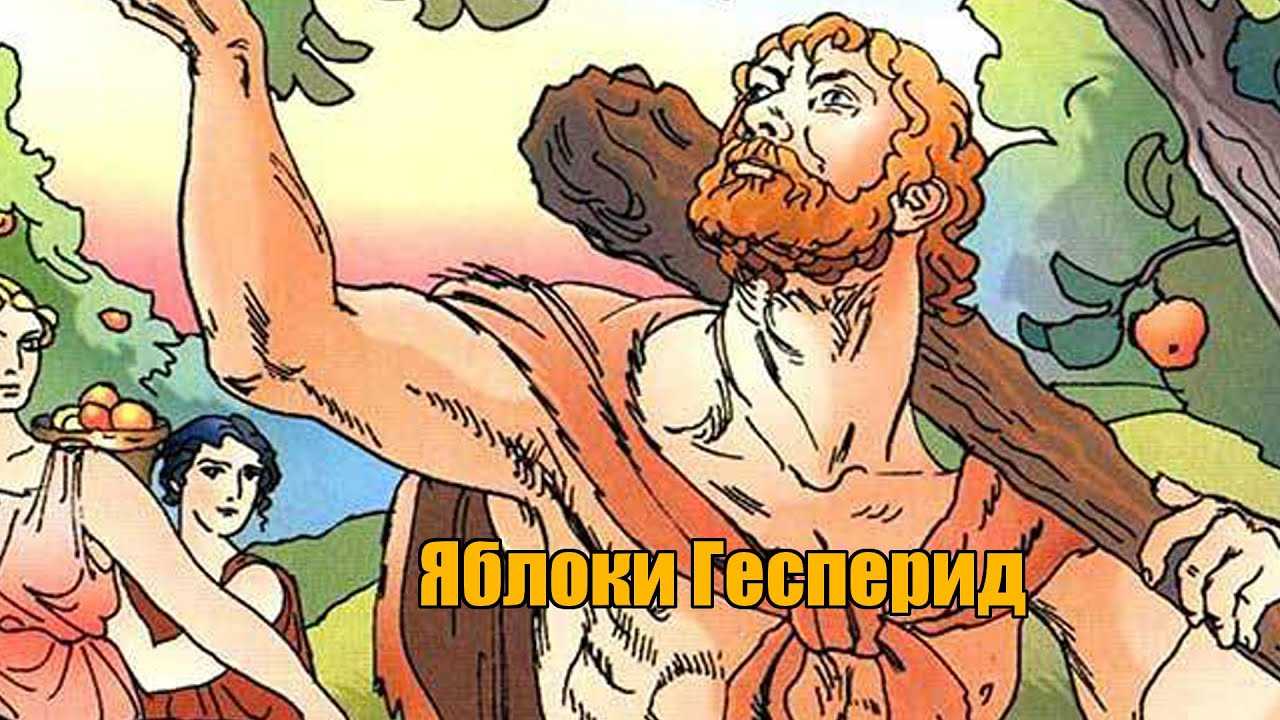 План рассказа 12 подвиг геракла яблоки гесперид 6 класс