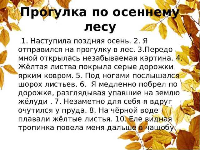 «осень мое любимое время года»: 8 сочинений 2023 года