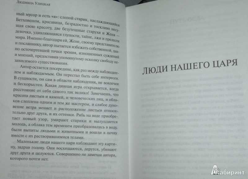 Капустное чудо краткое содержание