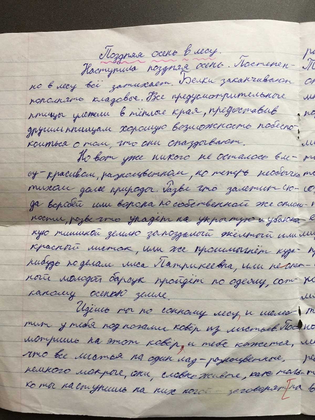 Времена года: какие они?, какие они? и многое другое ▷➡️ постпостмо | постпост