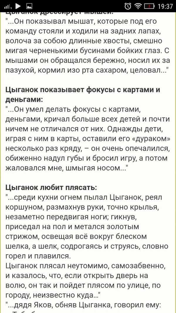 Мое отношение к герою цыганок из детства. цыганок характеристика и образ в повести детство горького сочинение