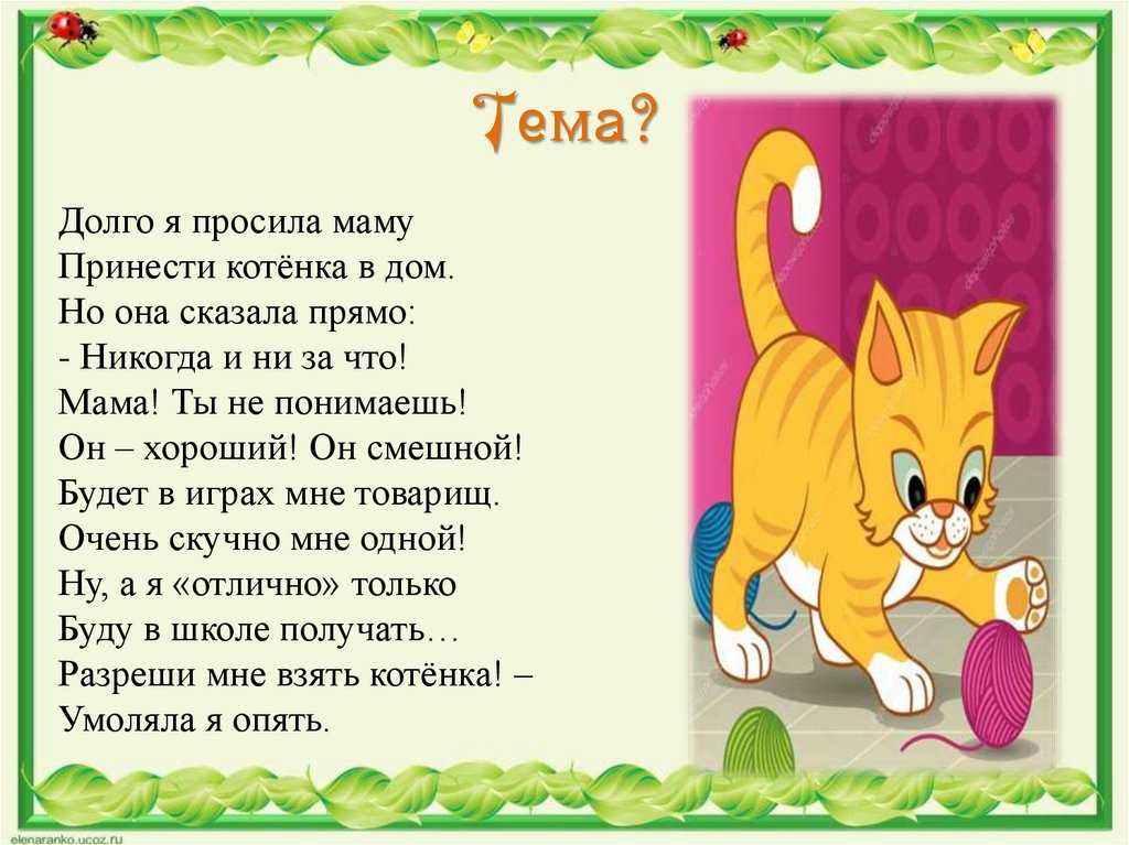 Сочинения про кота (для 2-5 класса)