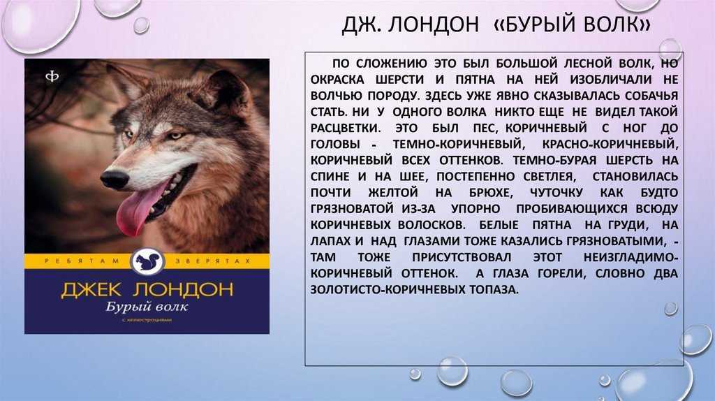 Письмо президенту 4 класс - юристу в помощь