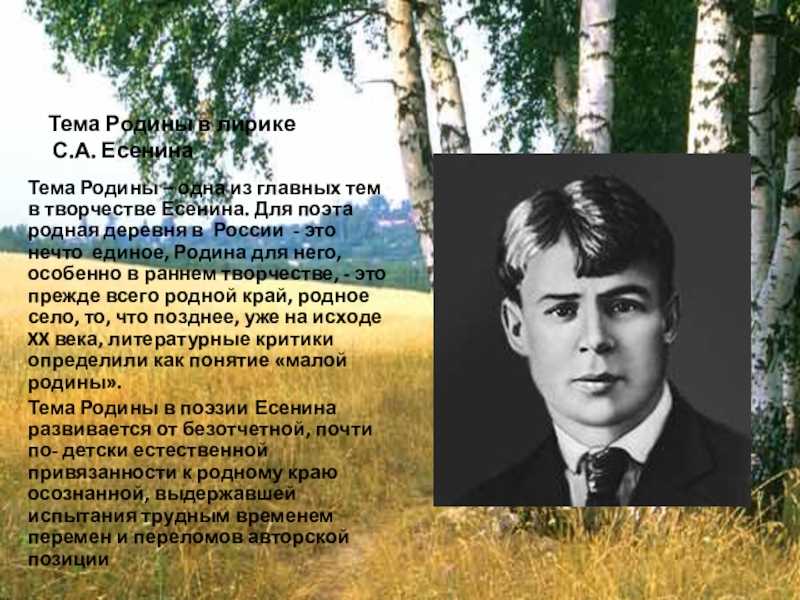 Тема родины в творчестве ахматовой сочинение по литературе