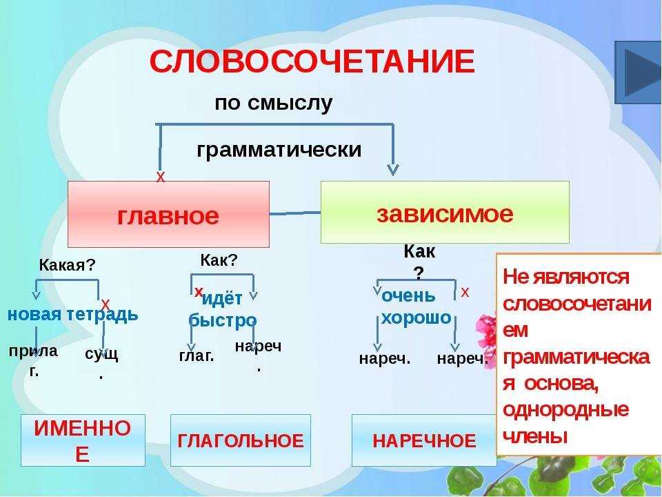 Как за мной погнались собаки: 6 отличных сочинений