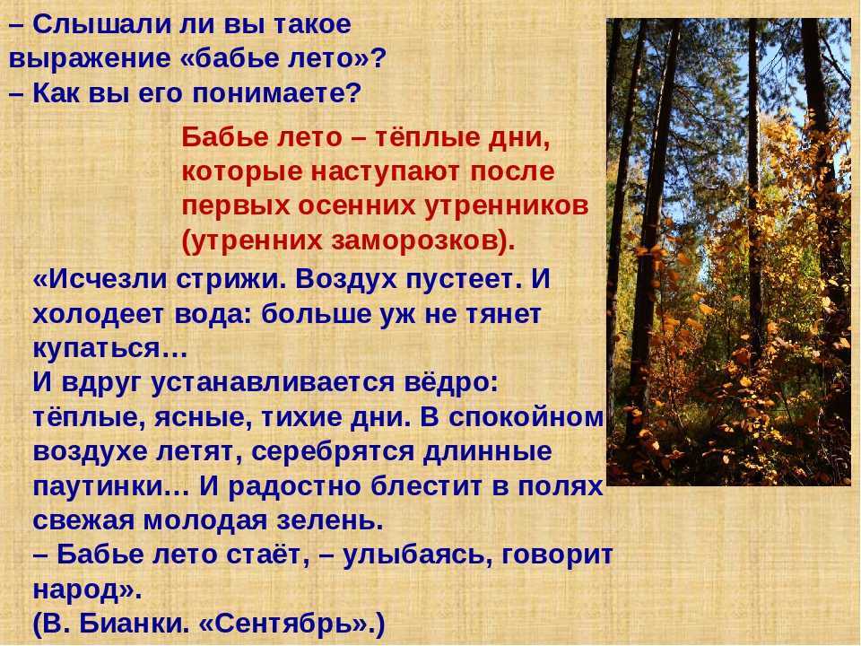 Хорошее сочинение на тему «лето»