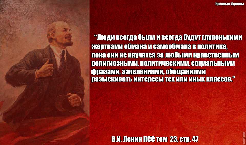 Сочинение на тему жестокость рассуждение 7, 9 класс 15.3 огэ