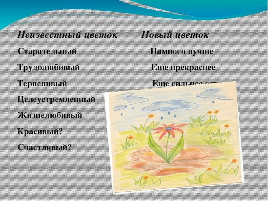 Чему учит нас сказка быль неизвестный цветок. cочинение «рассказ а