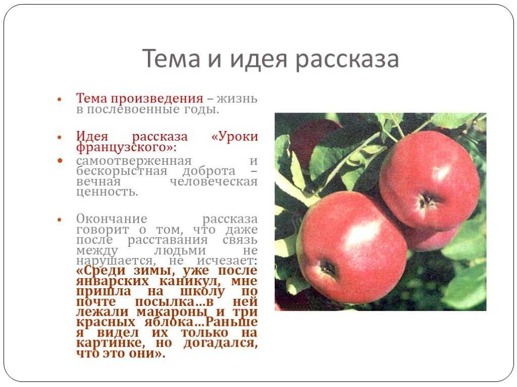 Чтение это: сочинение-размышление о пользе чтения