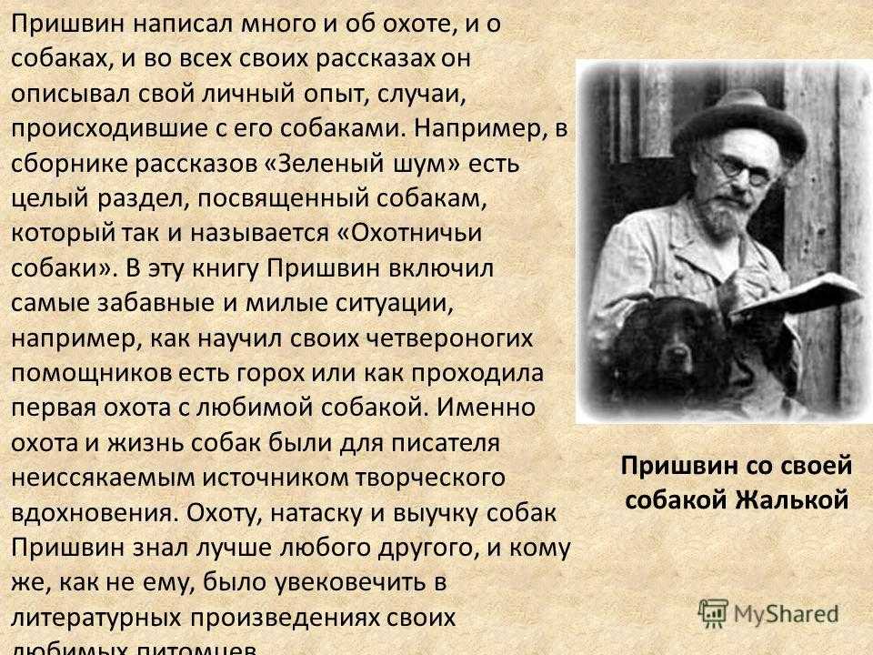 Сочинение на тему «осень мое любимое время года» для 3 класса