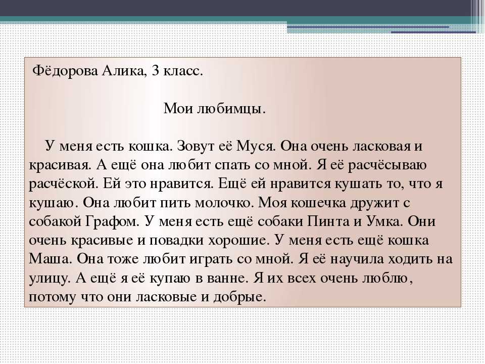 Сочинение на тему «моё любимое животное», 5 класс