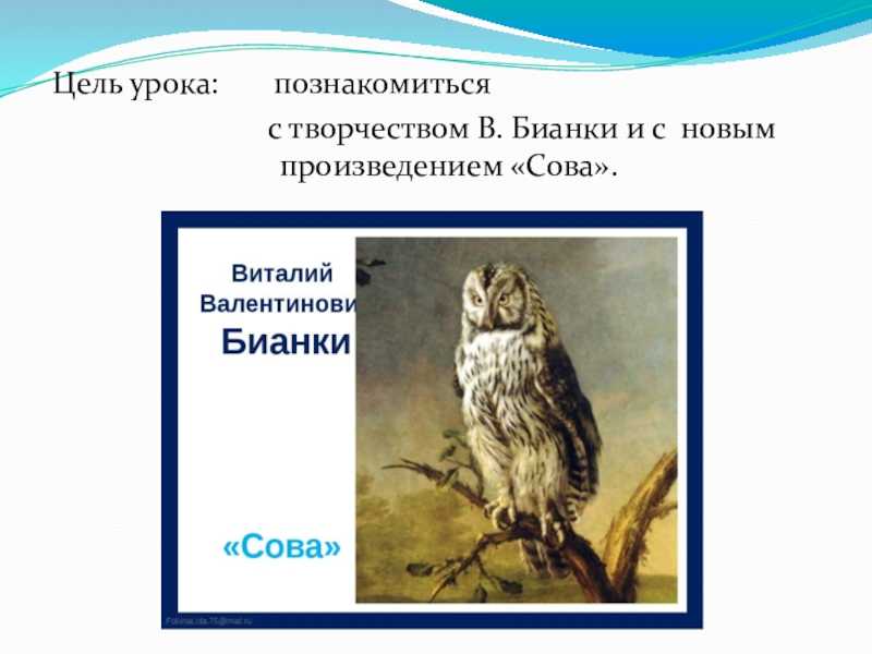 Бианки «сова»