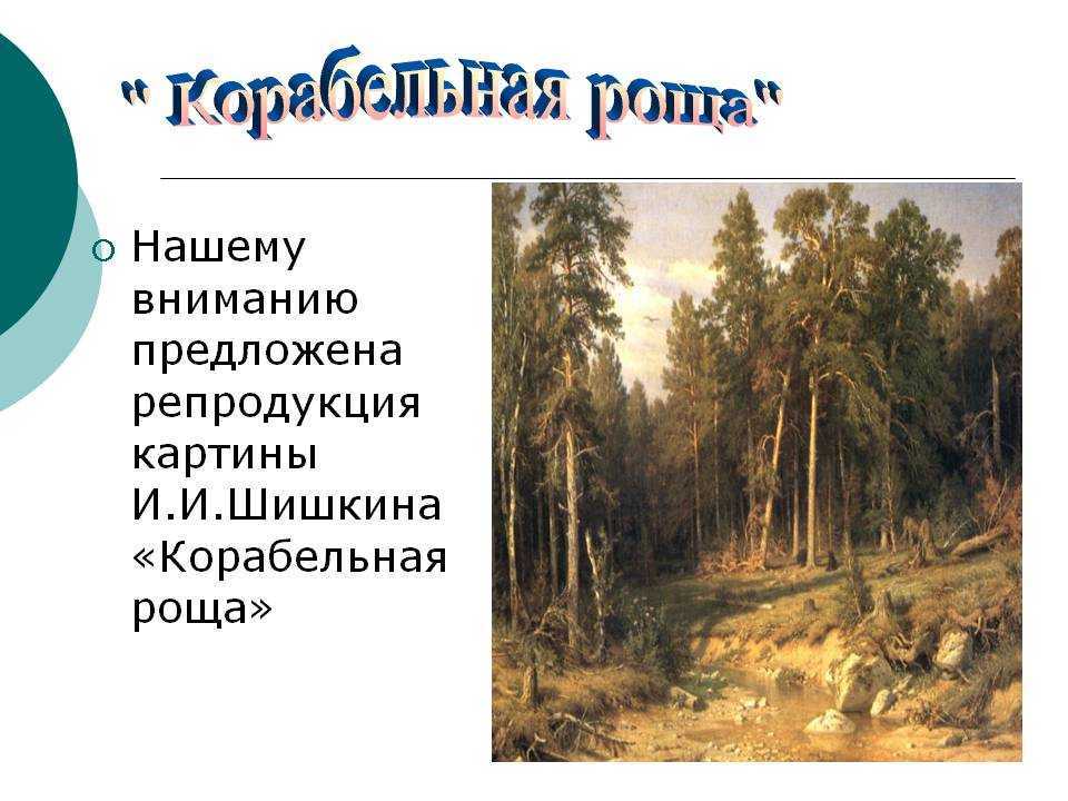 Как написать сочинение по картине шишкина «корабельная роща» для 5 класса: пошаговый план