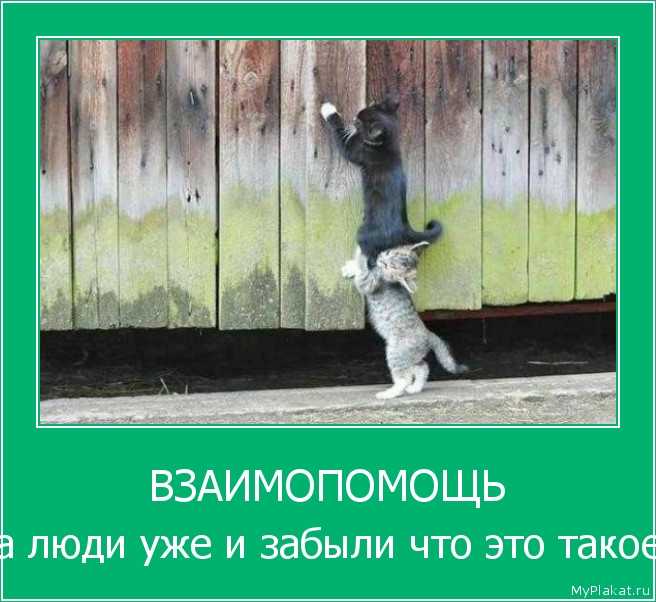 Огэ: аргументы к сочинению «что такое взаимовыручка? аргументы огэ (копилка). русский язык литературный пример на тему взаимовыручка
