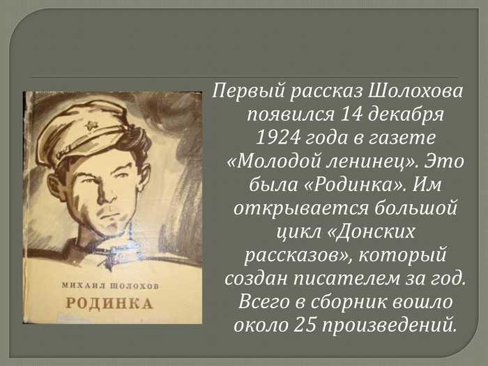 Анализ произведения шолохова родинка