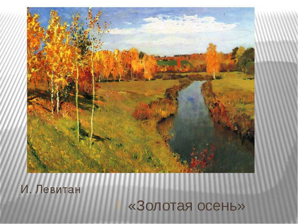Русский язык 8 класс | упр 74