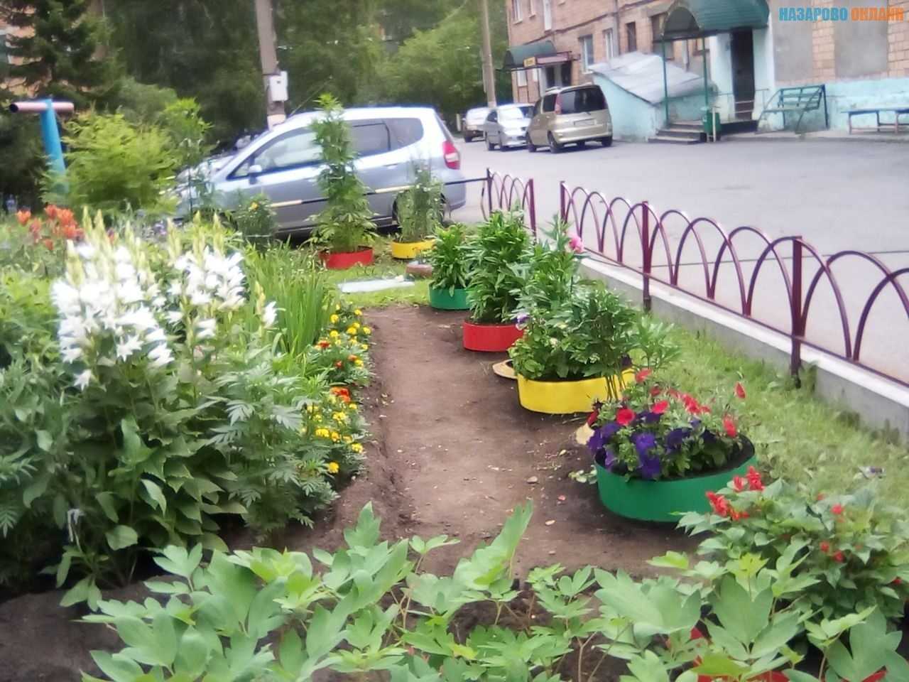 Картина варенька. характеристика и образ вареньки в рассказе толстого после бала сочинение
