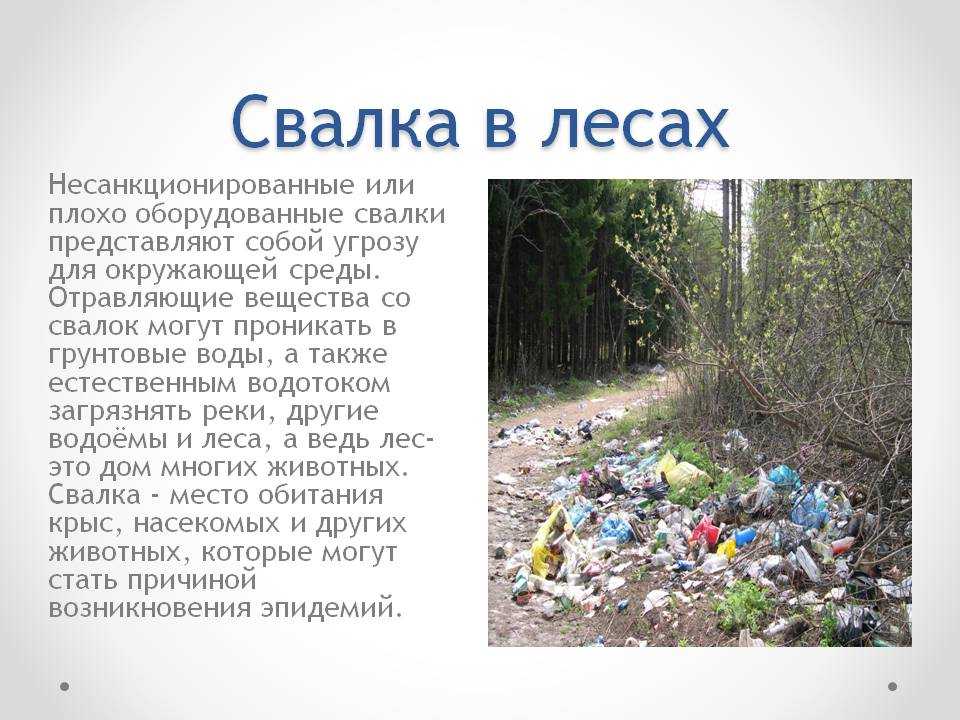 Эссе победителей конкурса "отечественная космонавтика: вчера-сегодня-завтра"