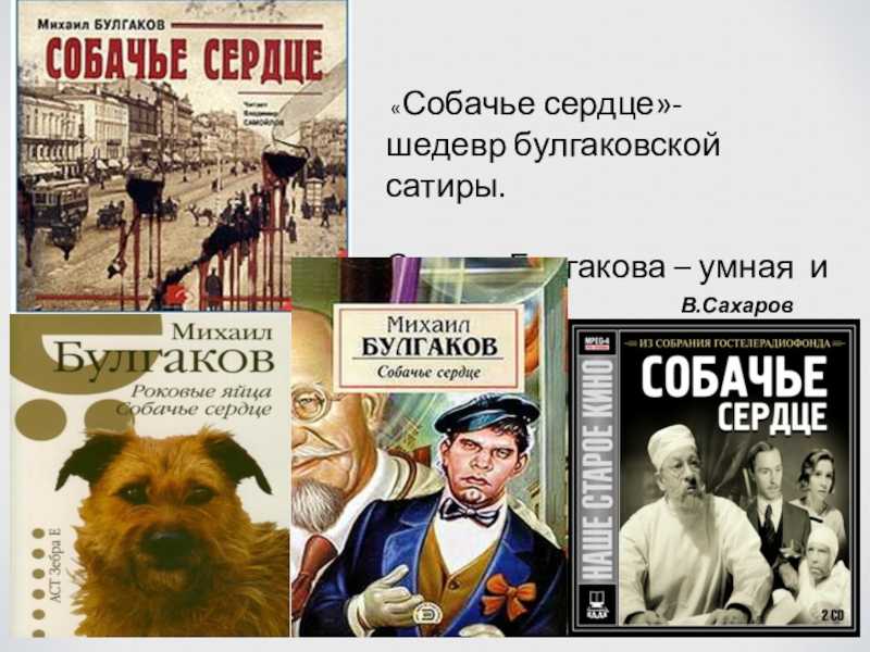 Характеристики главных героев собачье сердце, булгаков. их образы и описание