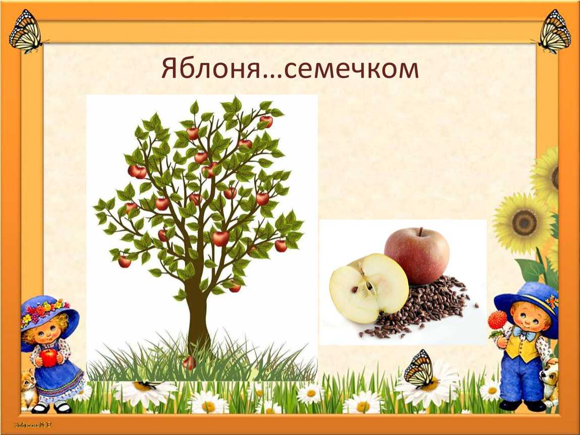 Сочинение весна