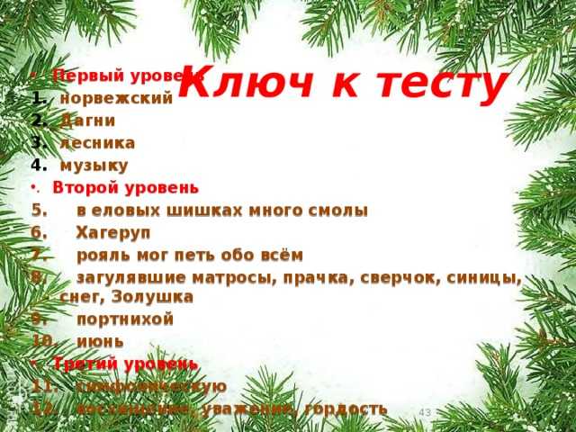 Краткое содержание «корзина с еловыми шишками»: рассказ паустовского о дагни педерсен и эдварде григе
