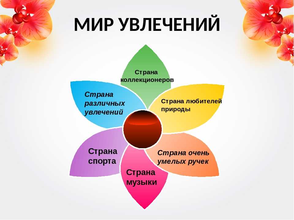 Авторское сочинение мир моих увлечений - сочинить.ру