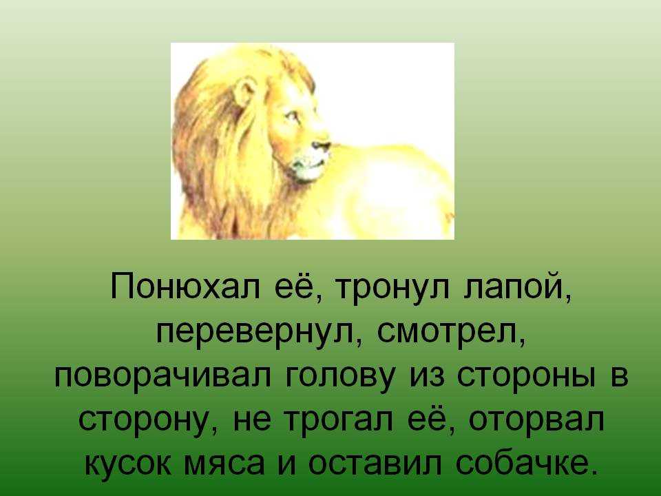 Как представить план к рассказу "лев и собачка" л.н. толстого: шаги и рекомендации