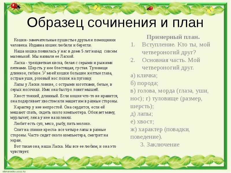 7 лучших сочинений на тему «почему общение с природой важно для человека»