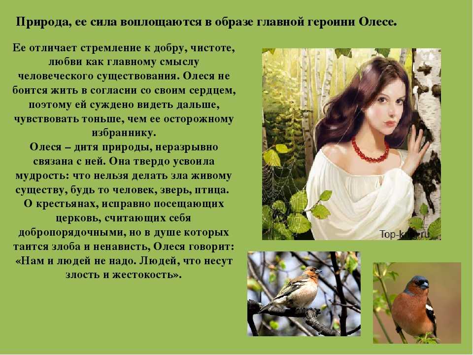 Проблематика повести а. куприн «олеся». в чем смысл противопоставления олеси и ивана тимофеевича. почему их любовь обречена. анализ отдельных произведений а. и. куприна что случилось с олесей куприн