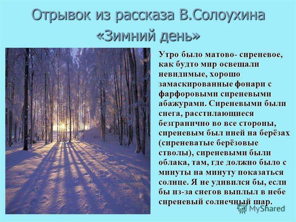 Сочинение лето мое любимое время года