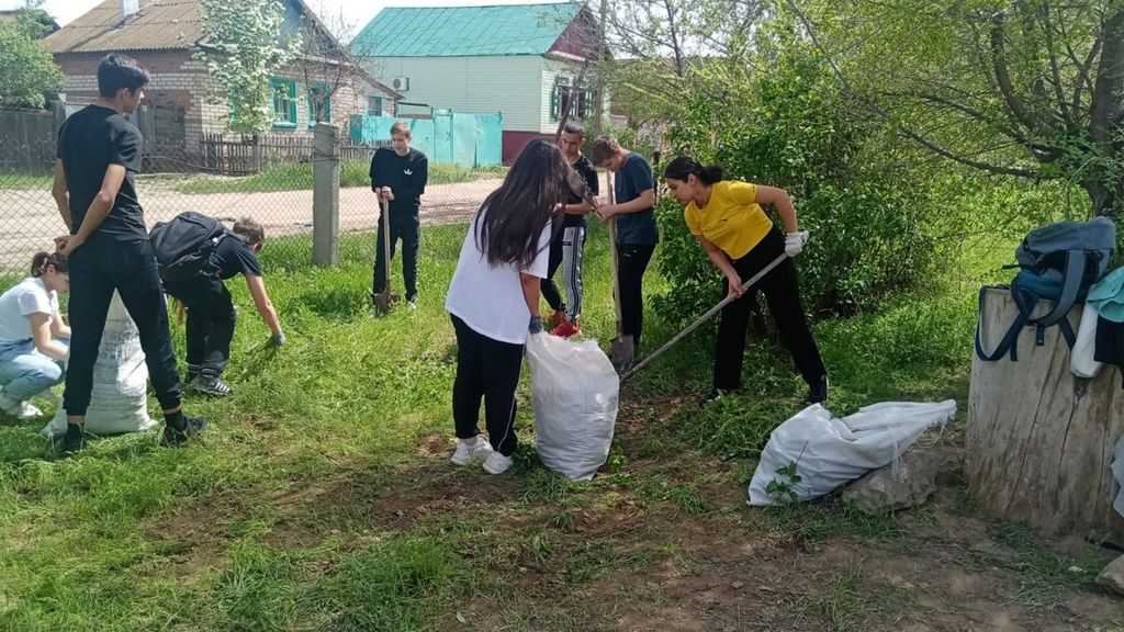 7 лучших сочинений на тему «субботник в школе»