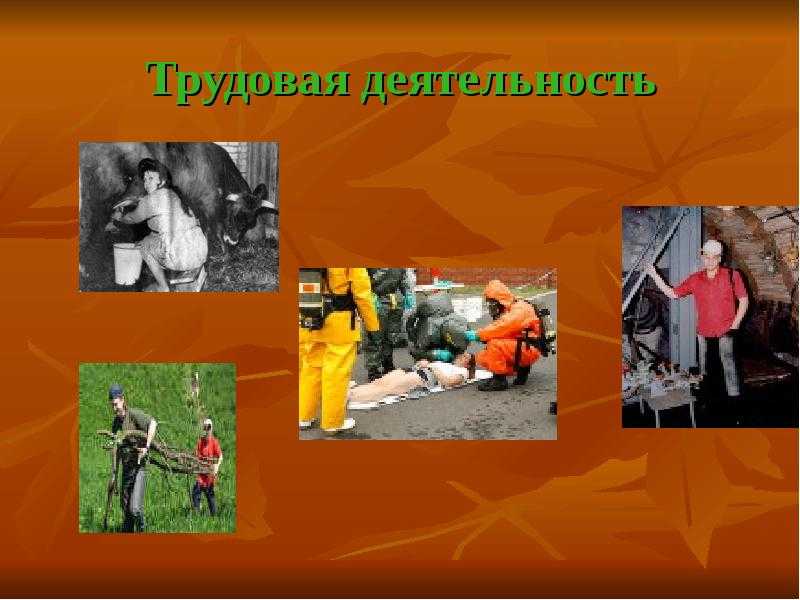 7 лучших сочинений на тему «роль труда в жизни человека»