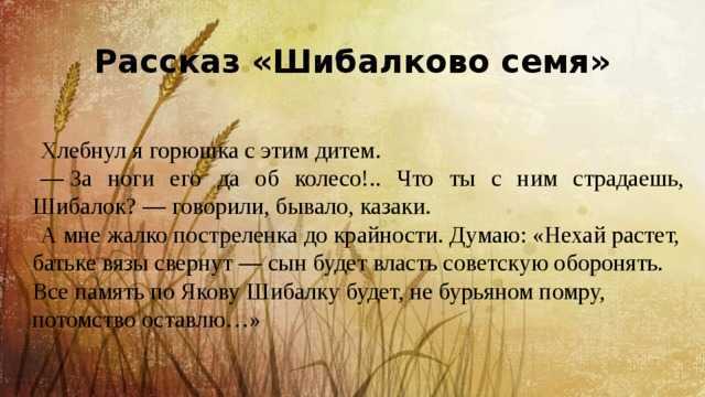 Разбираем смысл рассказа «шибалково семя» шолохова: ключевые моменты и интерпретации